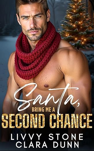 Book Cover of Santa, Bring Me a Second Chance